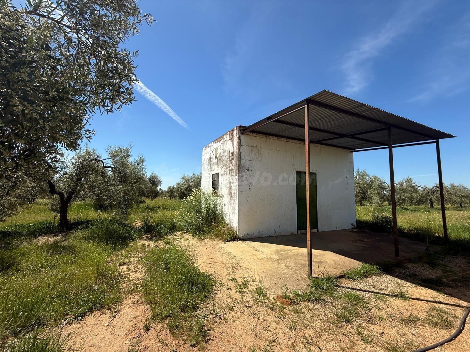 Terreno rural 36m² en venta - Andalucia - foto 3