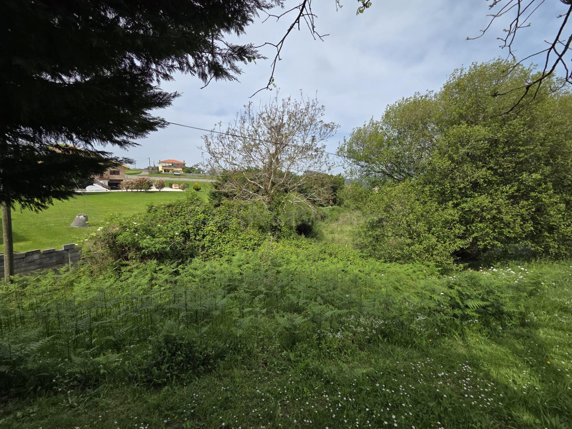 Parcela 255m² en venta - Costa de cantabria - foto 5