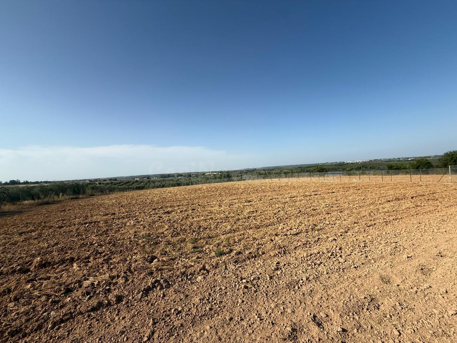 Terreno rural en venta - Andalucia - foto 2