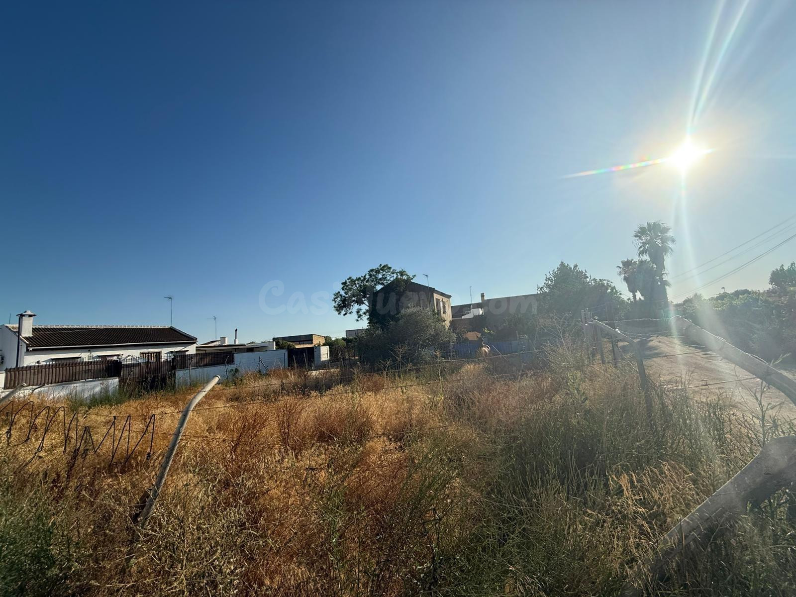 Terreno rural en venta - PILAS - foto 2