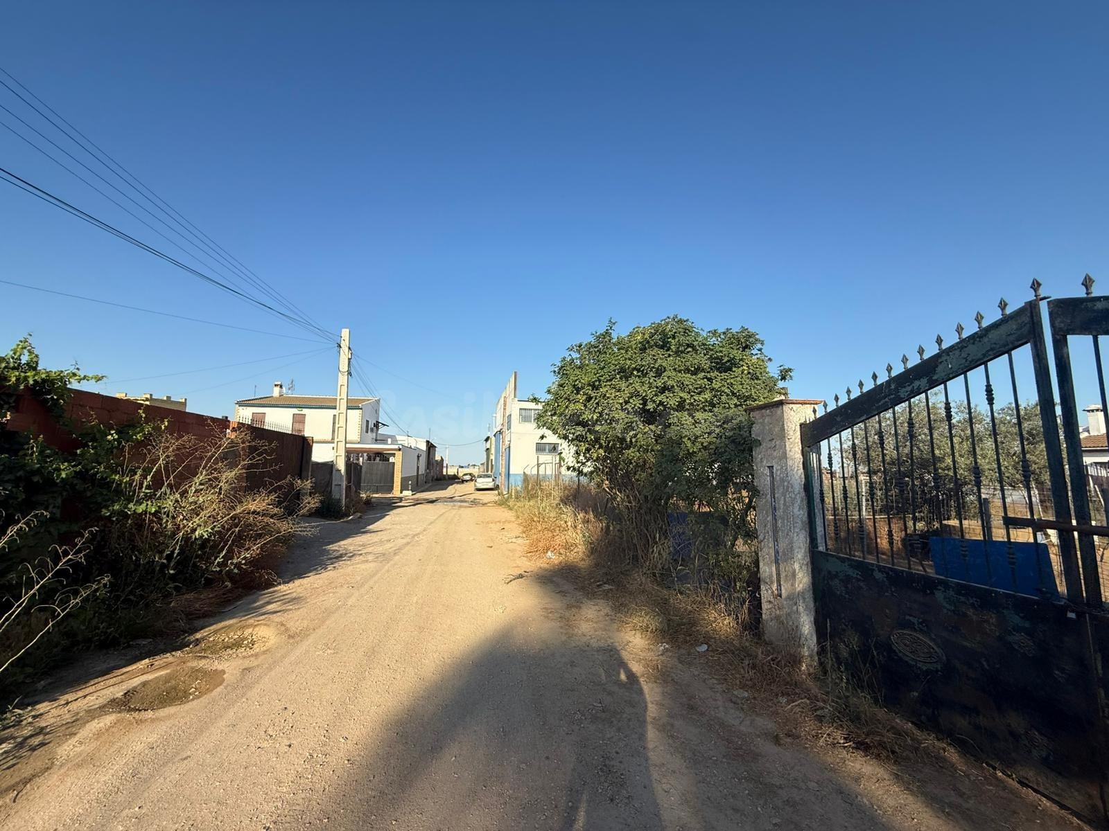 Terreno rural en venta - PILAS - foto 4
