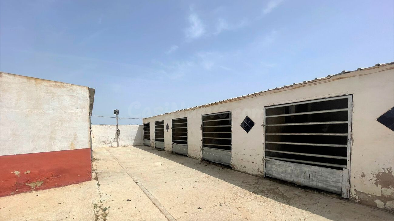 Local comercial 60m² en venta - Jerónimo Y Avileses - foto 2