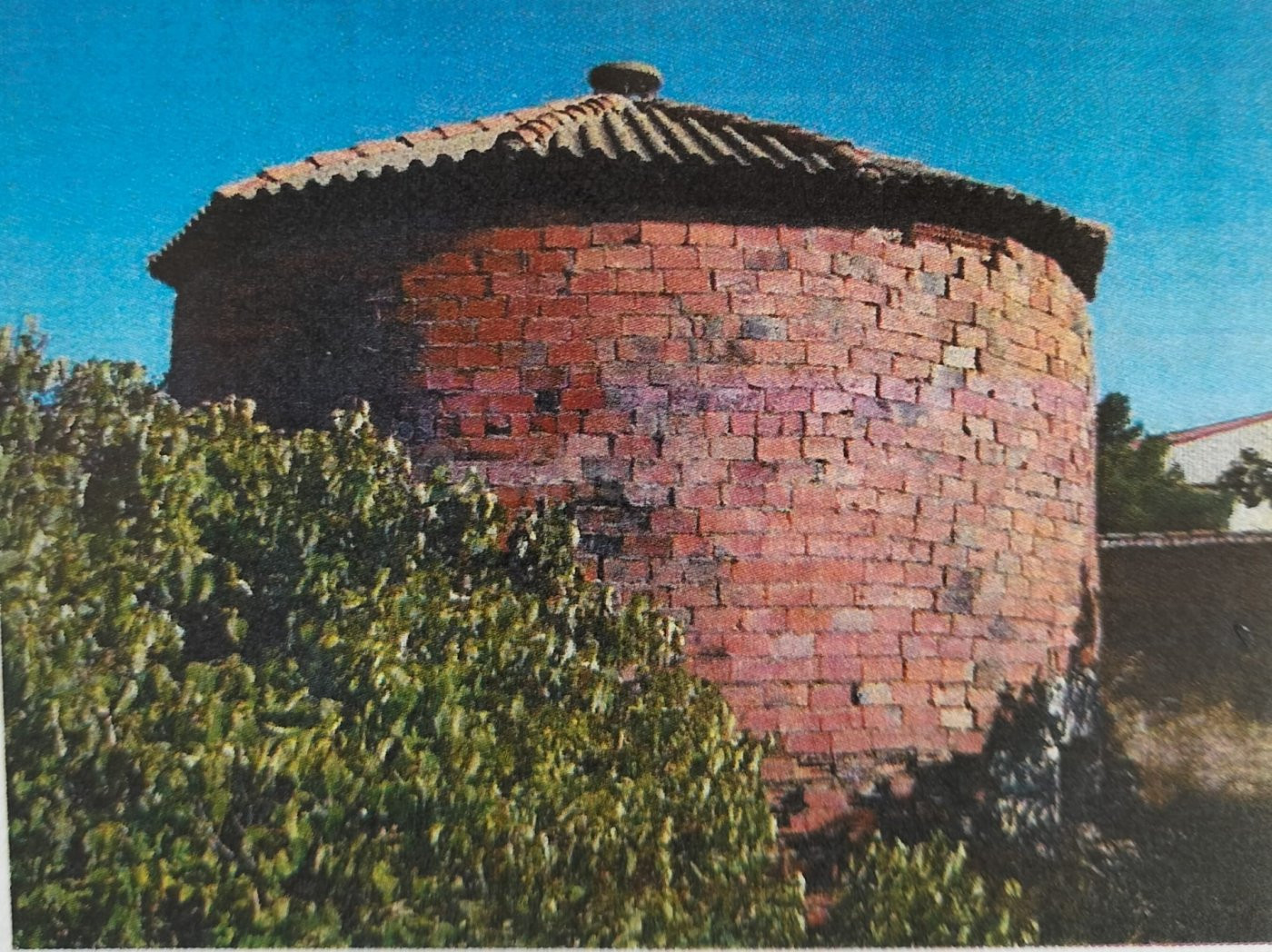 DISPONIBLE A LA VENTA PALOMAR EN AUTILLA DEL PINO