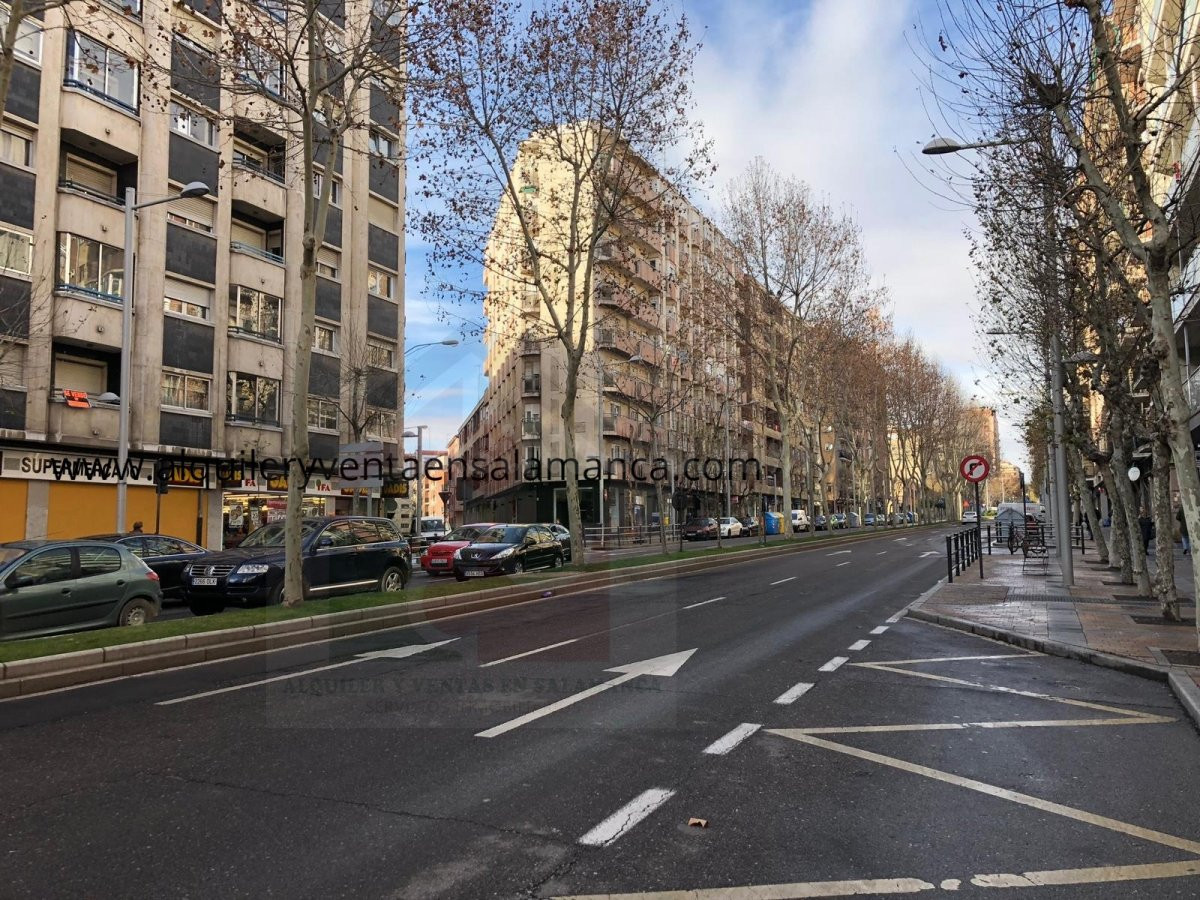 Oficina 181m² en alquiler - Labradores - foto 2