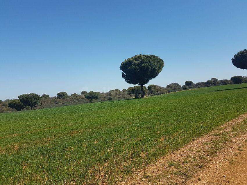 Terreno rural en venta - Pueblo - foto 3