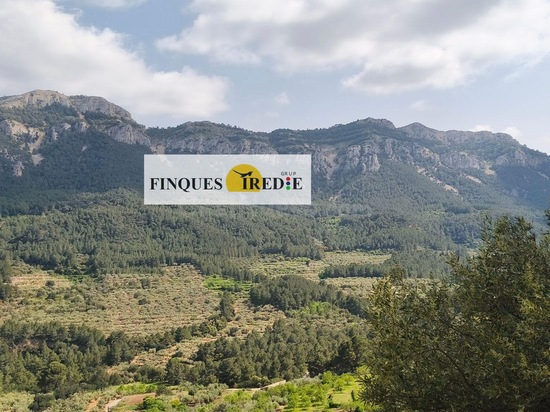 ENCANTADORA MASIA A PAÜLS