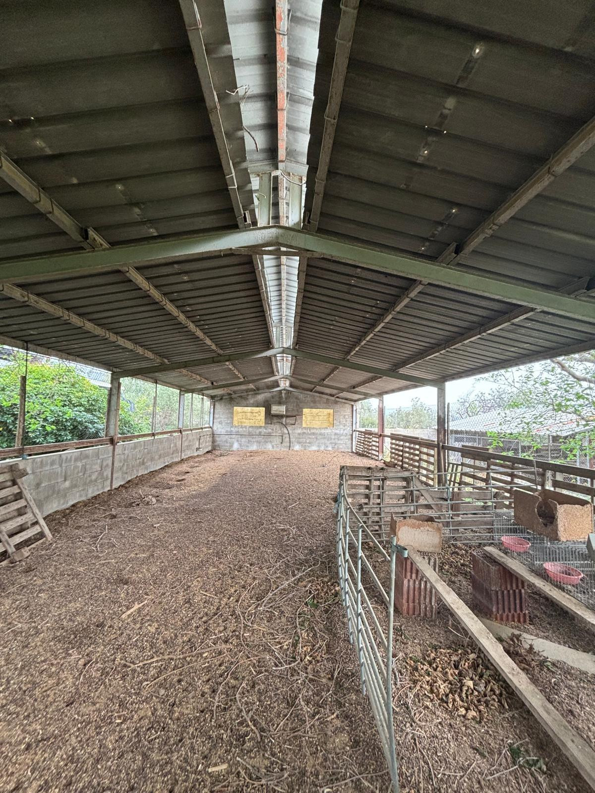Venta conjunta de dos fincas rústicas en Xerta (granja y fin - foto 3