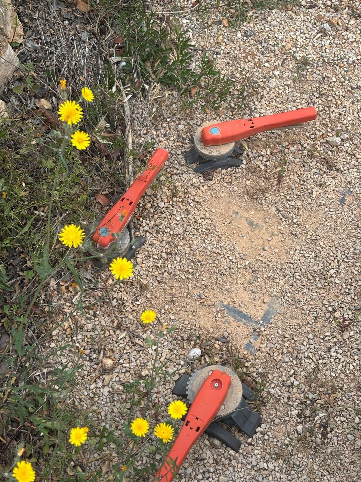 Venta conjunta de dos fincas rústicas en Xerta (granja y fin - foto 5