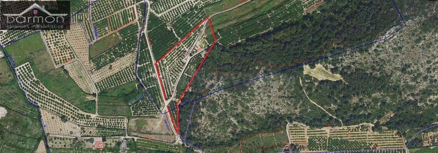 Terreno rural en venta - a 600 metros del pueblo - foto 2