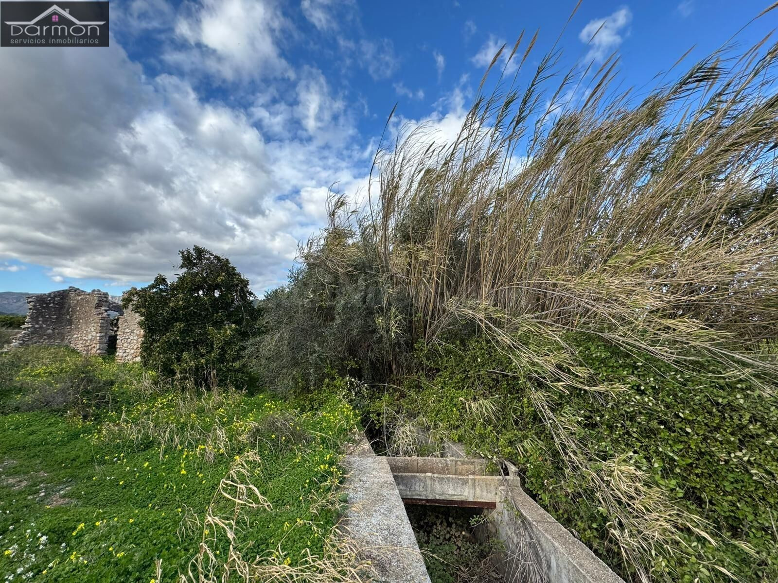 Oportunidad de Inversión: Terreno Rural en Palma de Gandia - foto 3