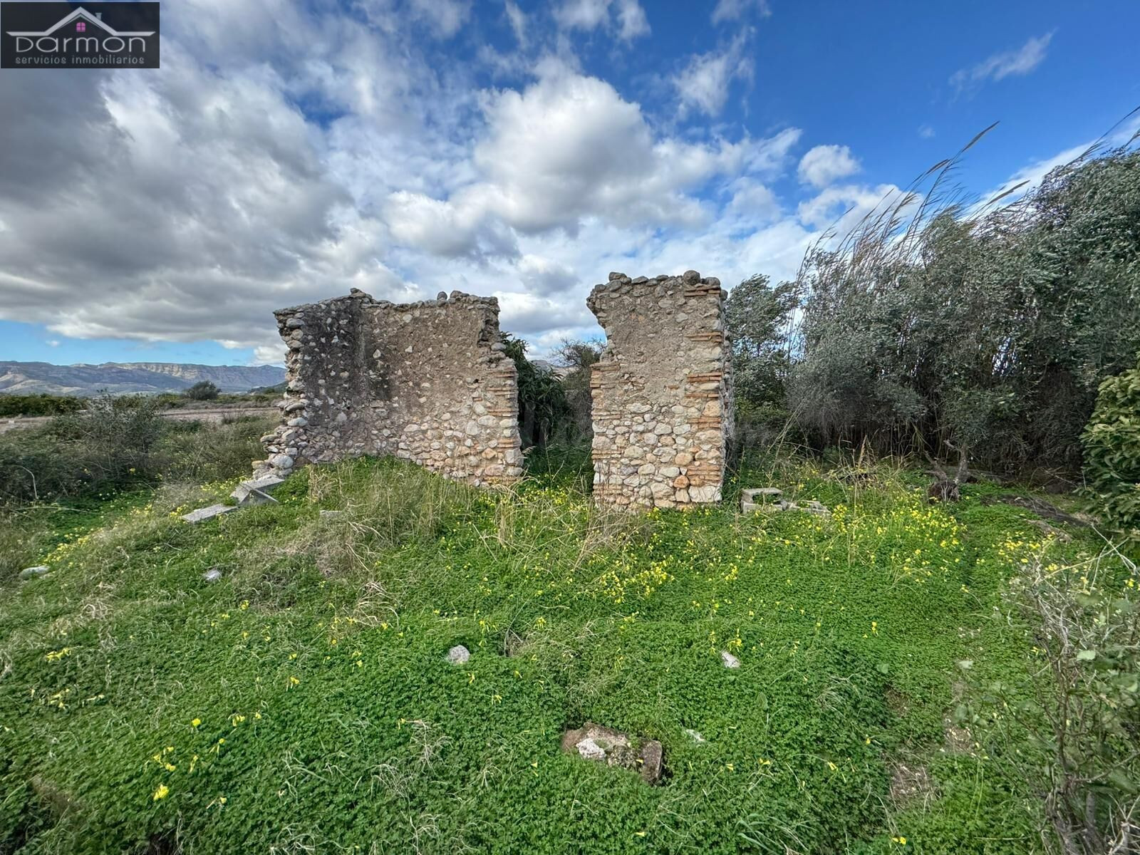 Oportunidad de Inversión: Terreno Rural en Palma de Gandia - foto 5