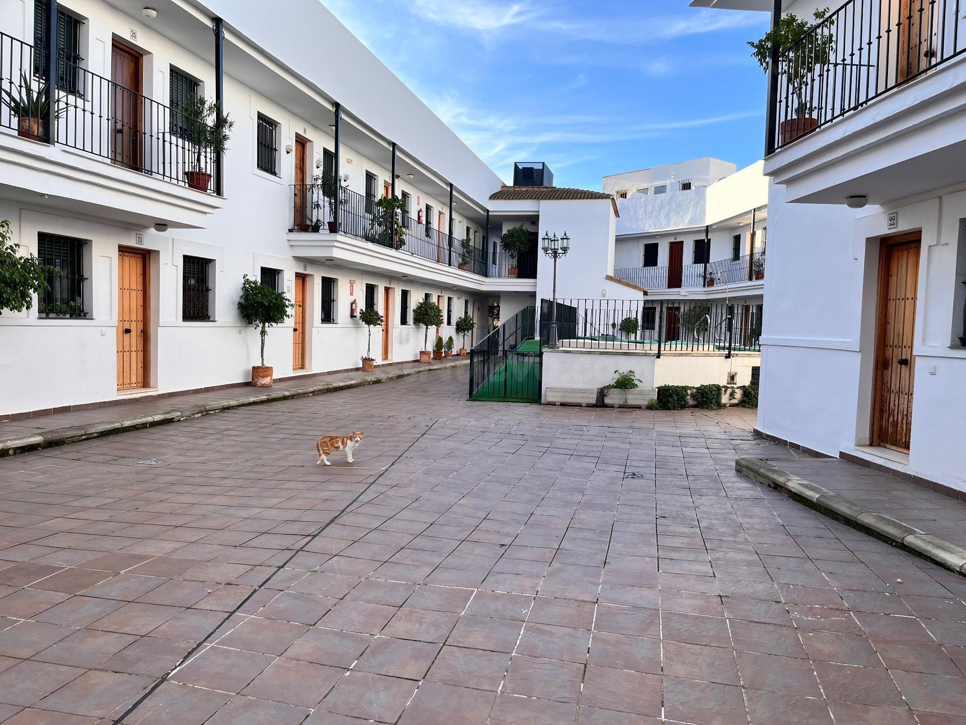 Apartamento con garaje, trastero y piscina en Sanlúcar la Ma - foto 3