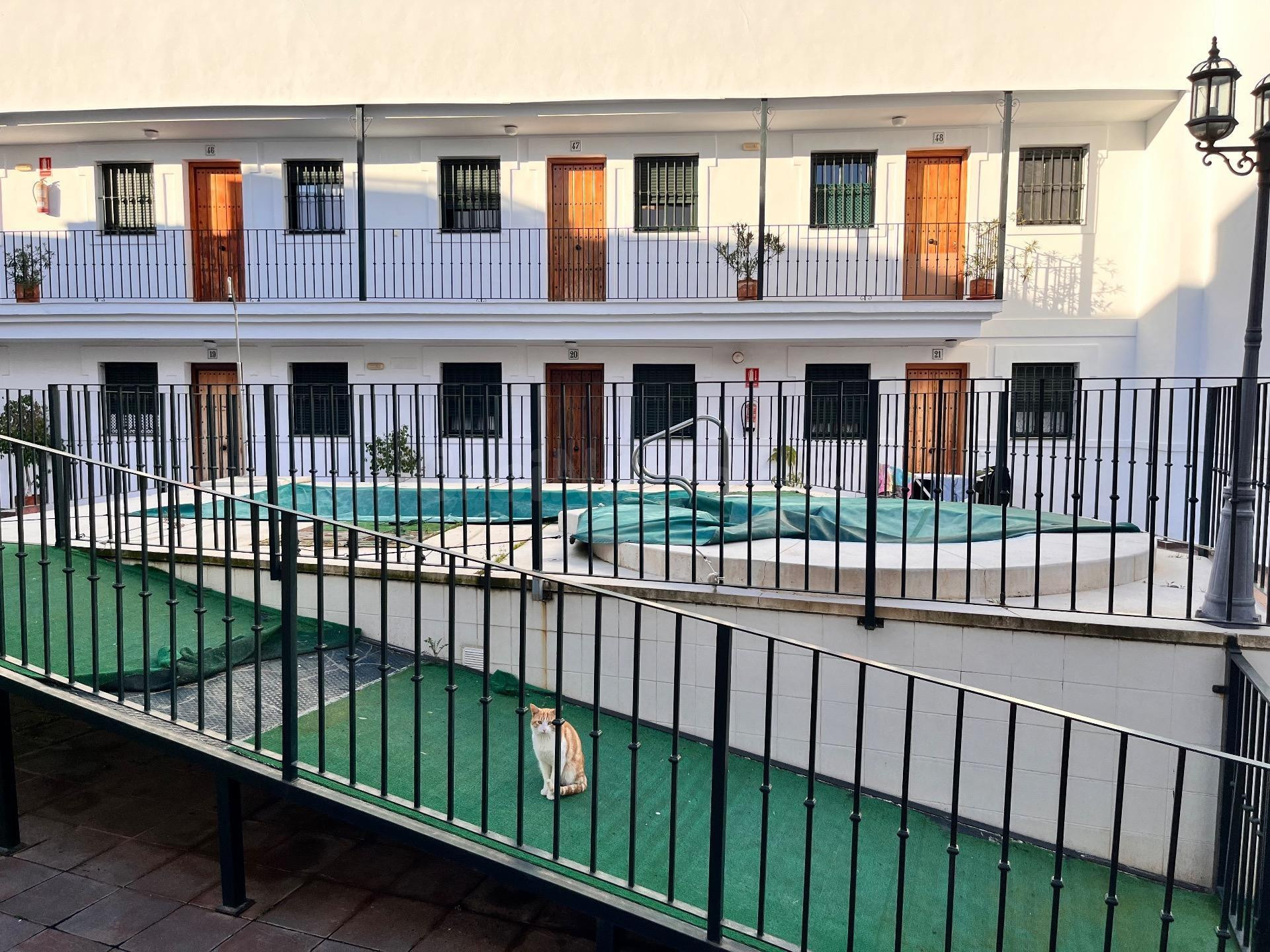 Apartamento con garaje, trastero y piscina en Sanlúcar la Ma - foto 4