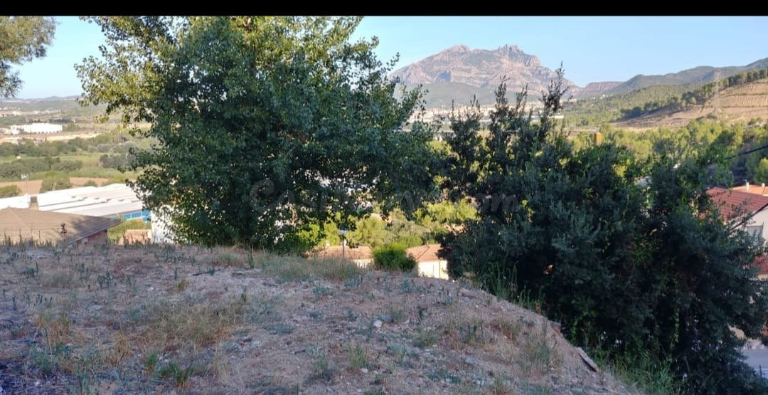 SE VENDE TERRENO EN ABRERA - foto 3