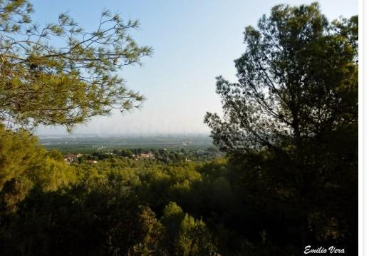 VENTA CHALET URB SIERRA PERENXIZA - foto 4