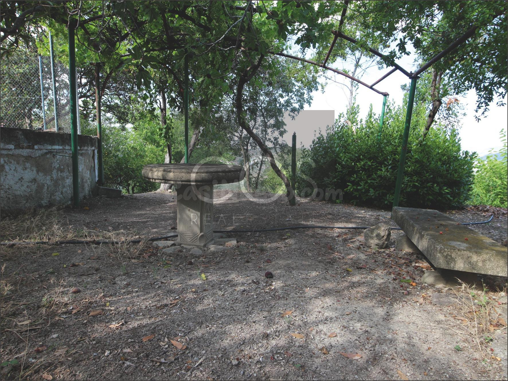 Parcela en venta - Jaen - foto 2