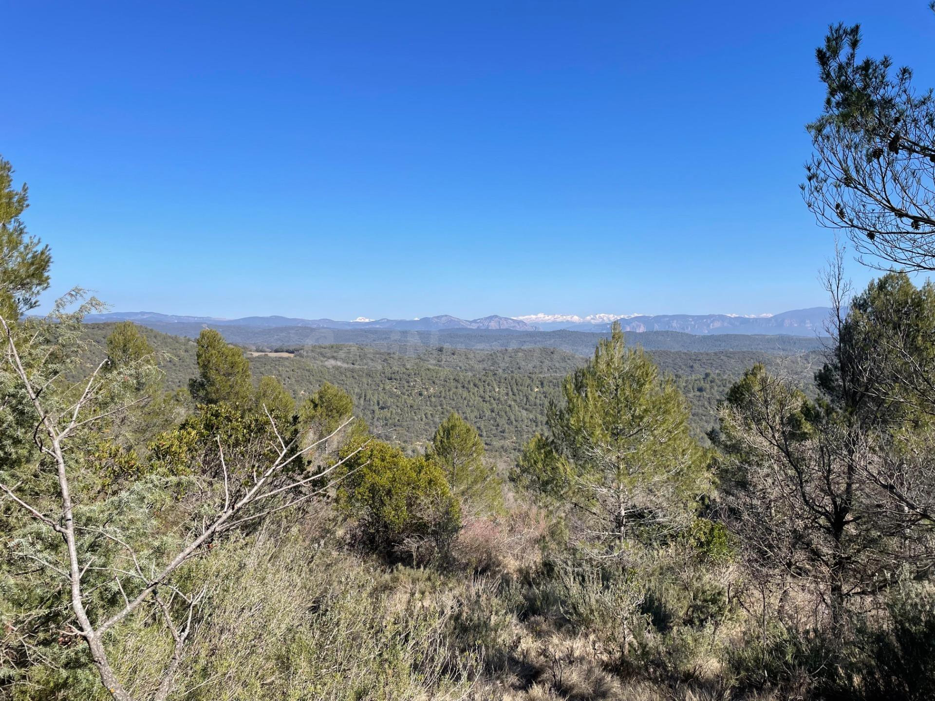Terreno rural en venta - Luna - foto 2
