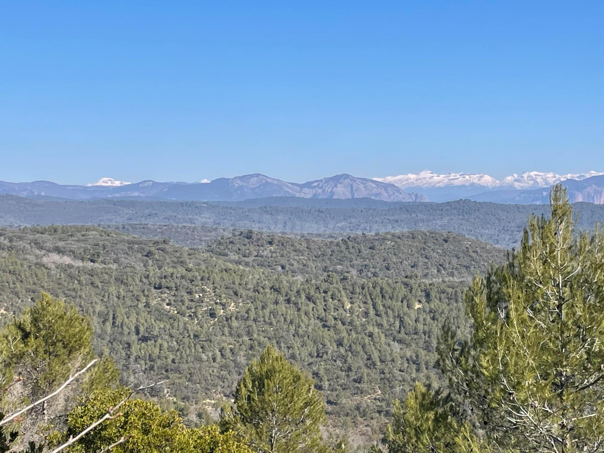 Terreno rural en venta - Luna - foto 3