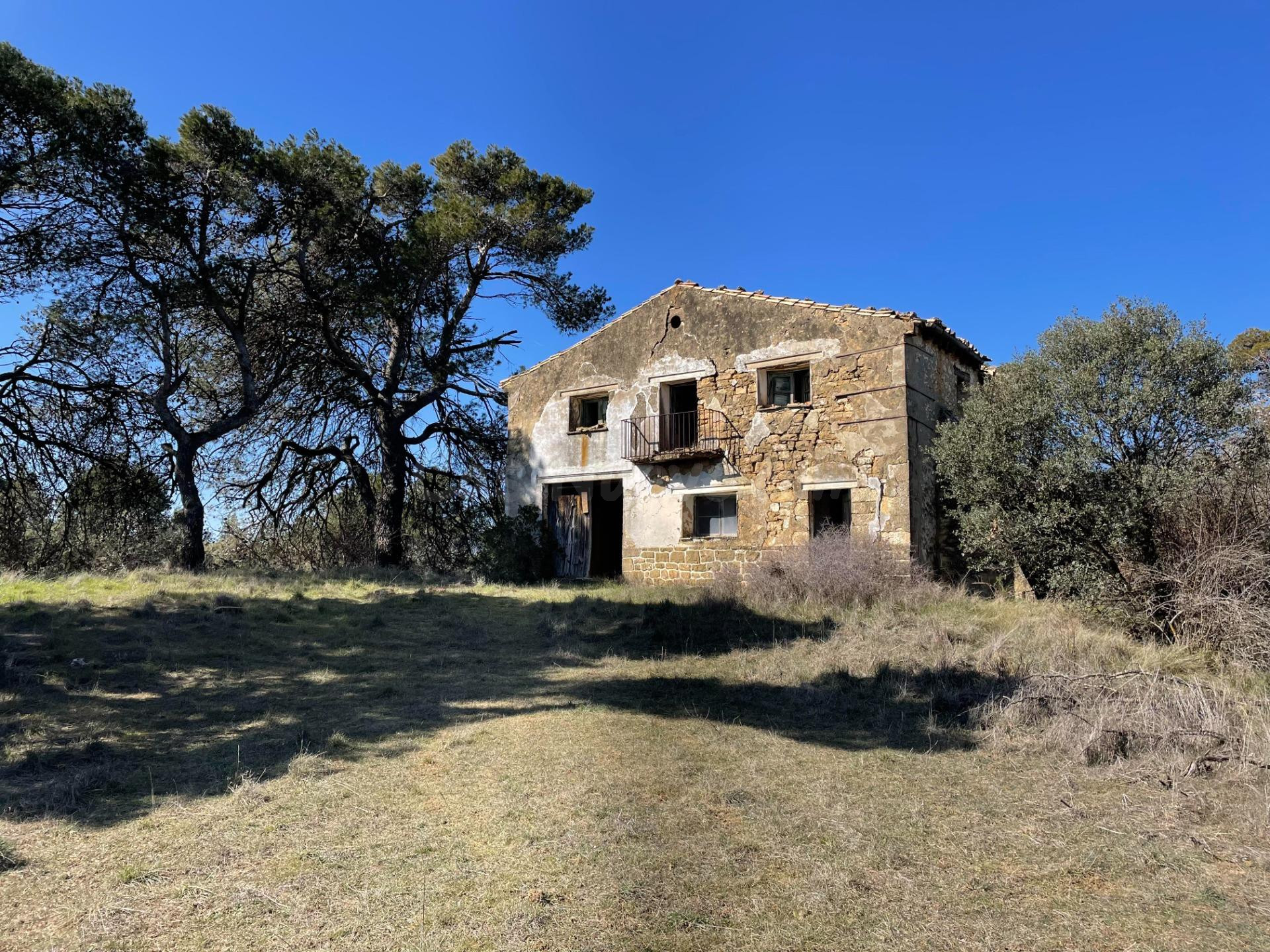 Terreno rural en venta - Luna - foto 4