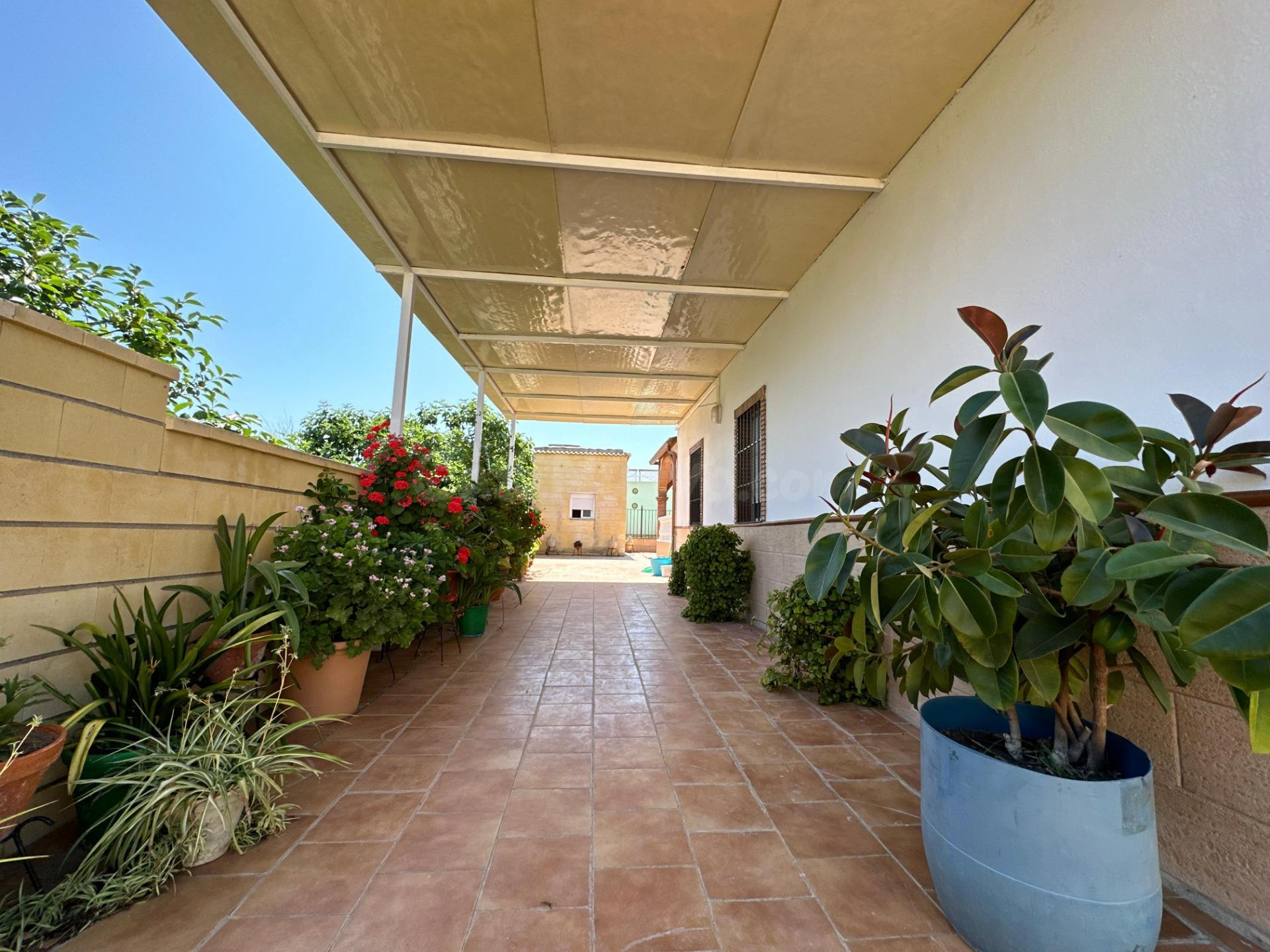 Casa con terreno 3 habitaciones 2145m² en venta - Carpio (El - foto 2