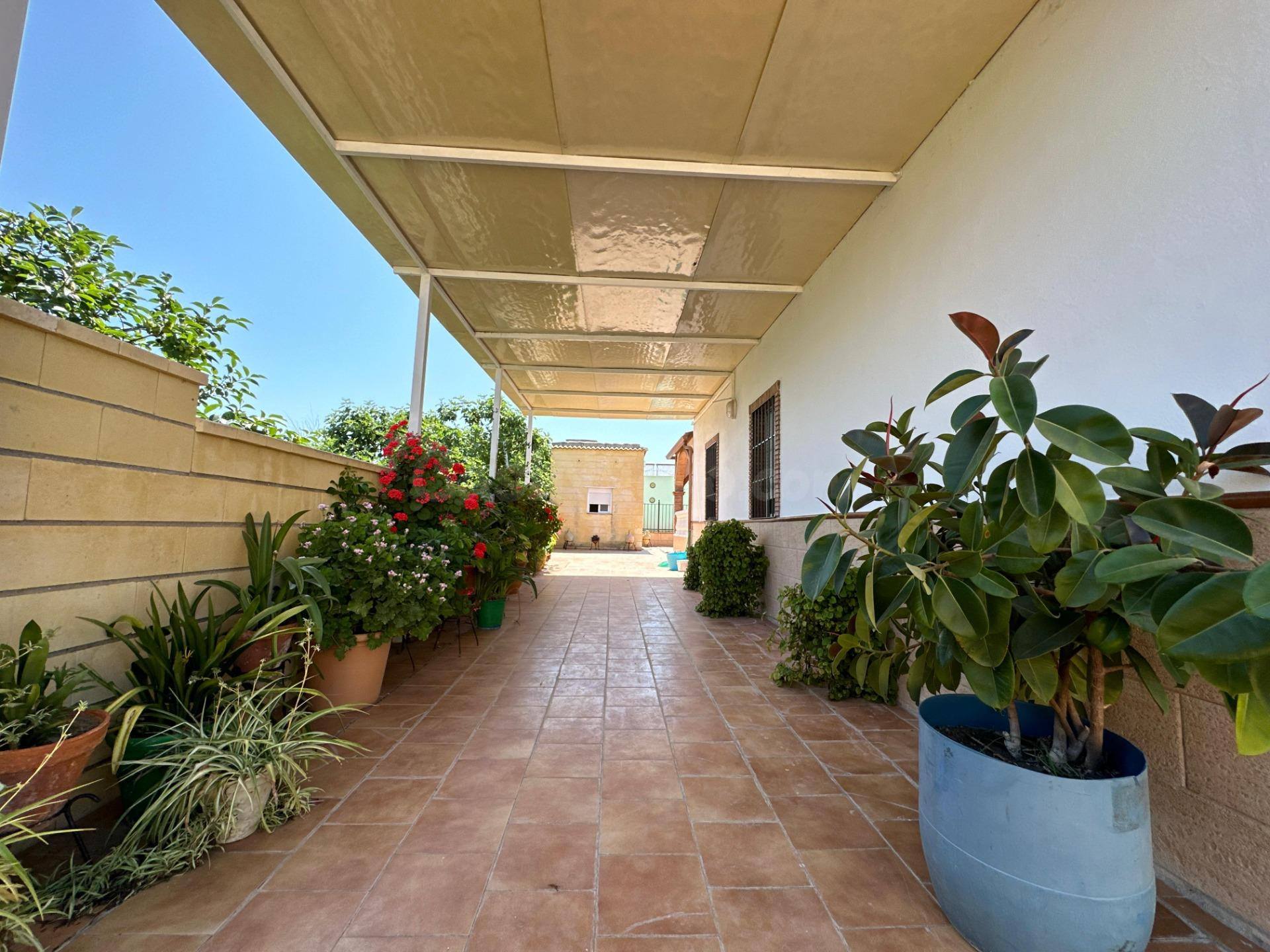 Casa con terreno 3 habitaciones 2145m² en venta - Carpio (El - foto 3