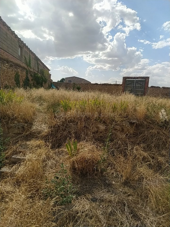 SE VENDE TERRENO URBANO EN CALAMOCHA - foto 4
