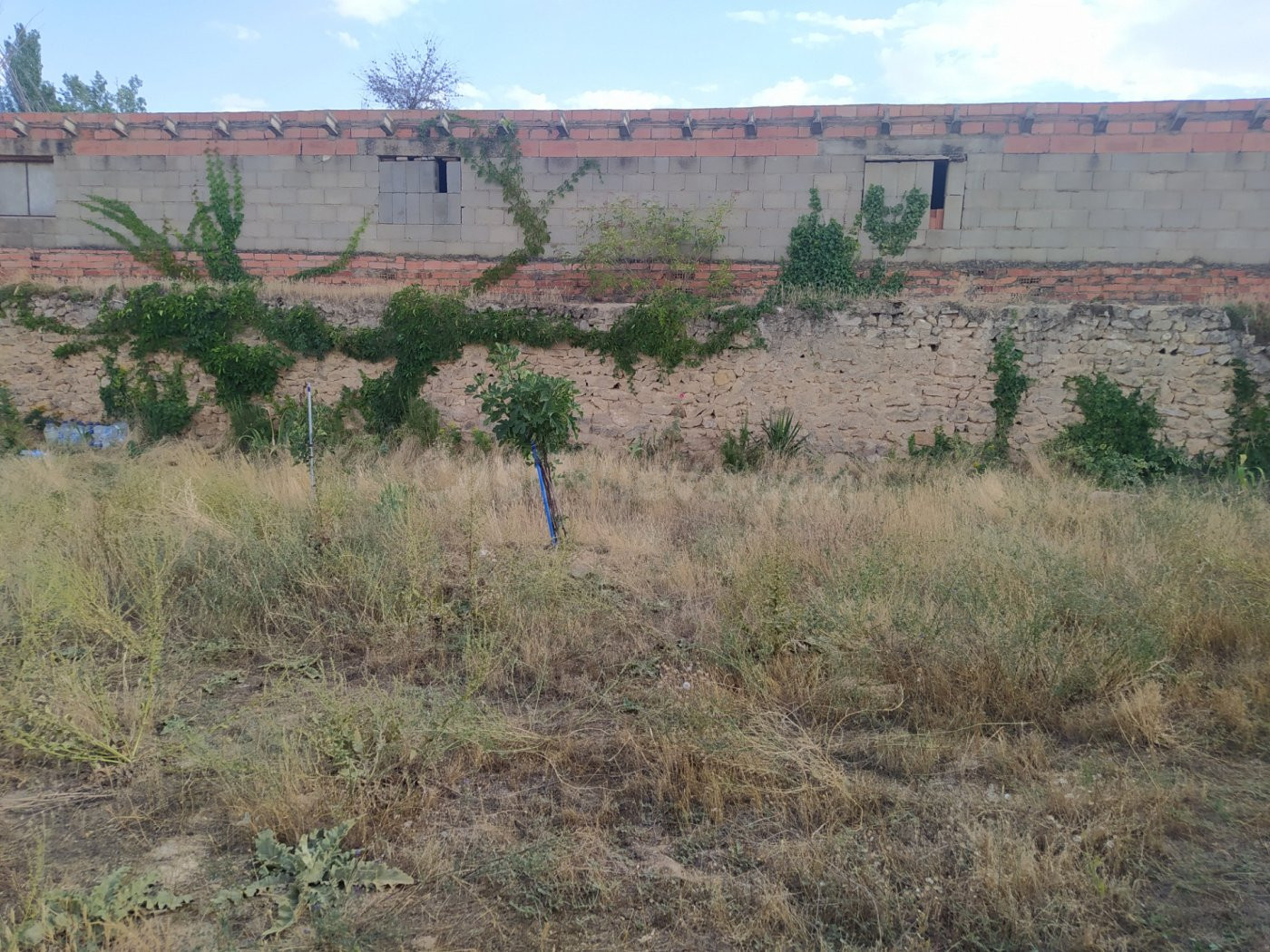 SE VENDE TERRENO URBANO EN CALAMOCHA - foto 5