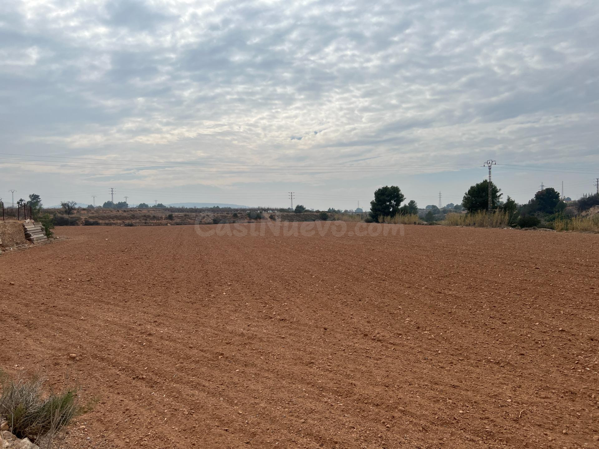 CAMPO PARA CULTIVO