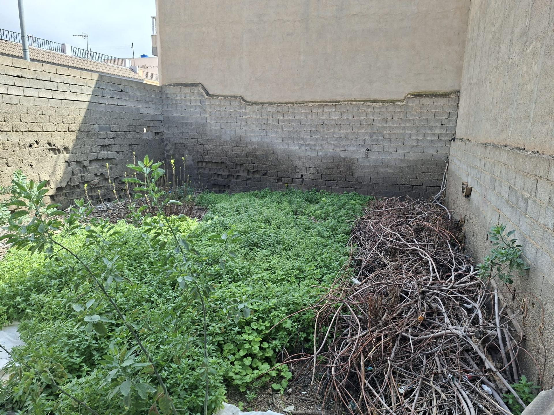 Oportunidad de Inversión en Solar Urbano en Pechina Centro - foto 2