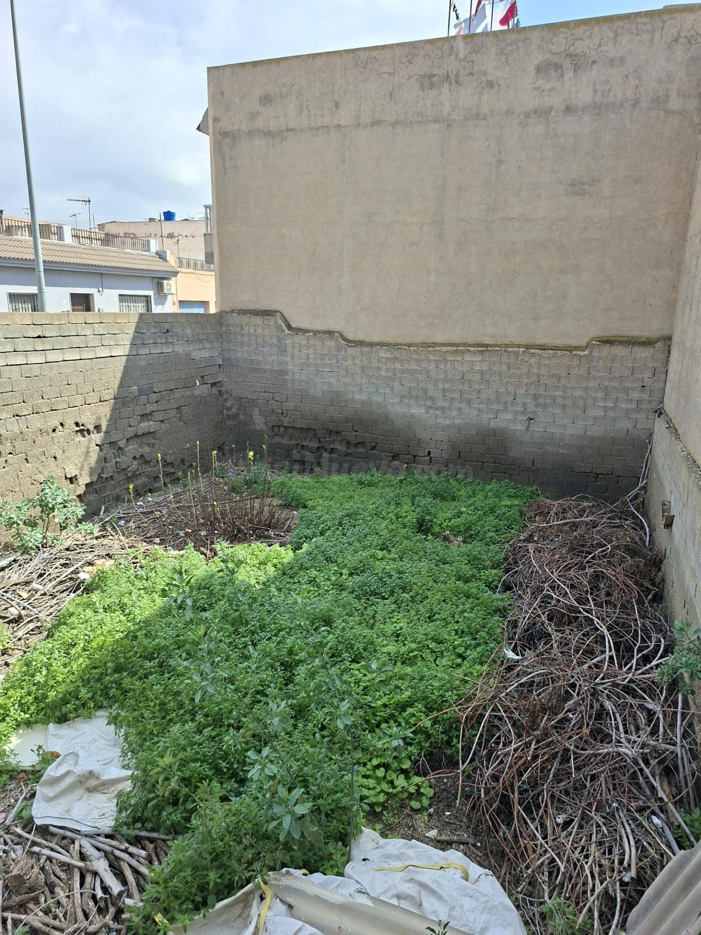 Oportunidad de Inversión en Solar Urbano en Pechina Centro - foto 3