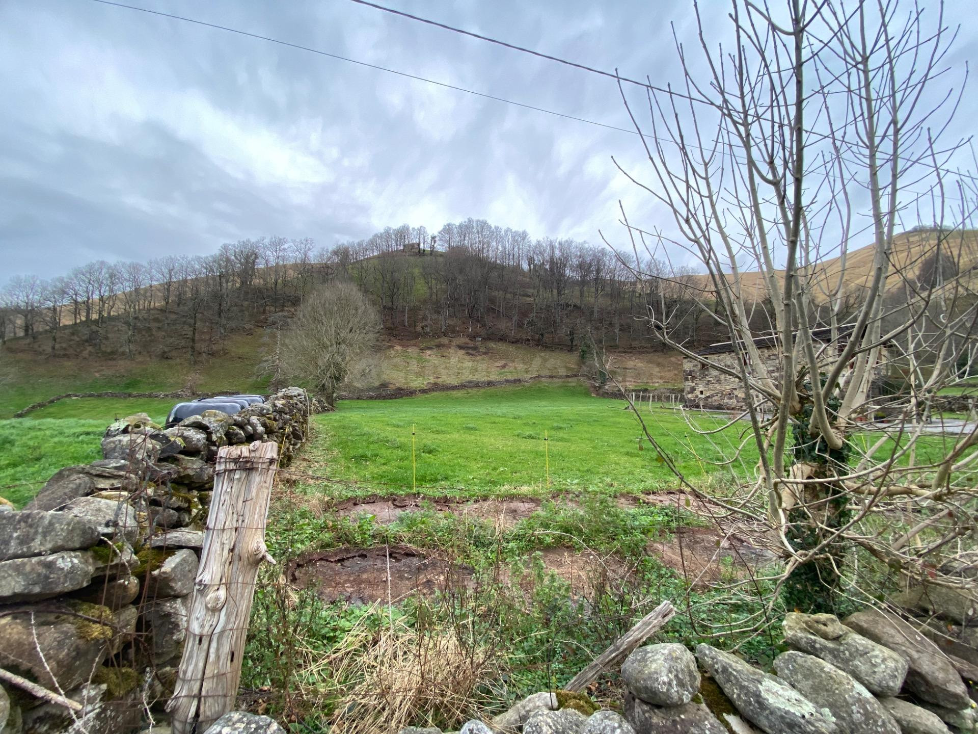 CABAÑAS Y TERRENO  EN VEGA DE PAS (PANDILLO) - foto 4