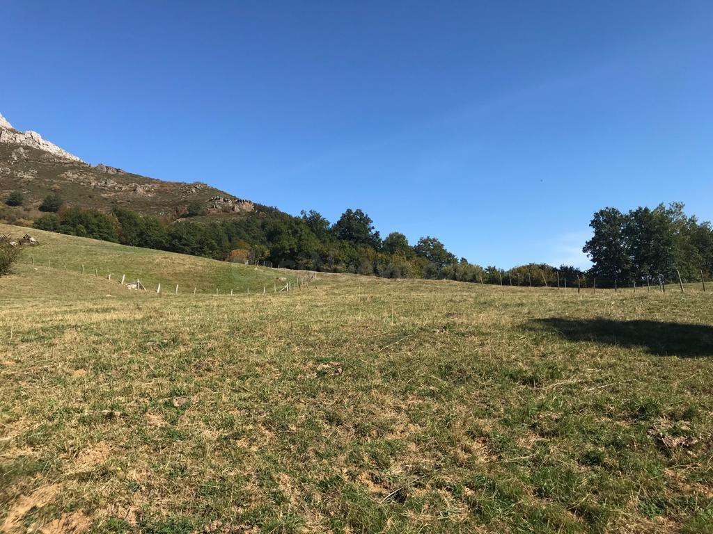 Terreno en Dobres- Ranes, Vega de Liébana. - foto 2
