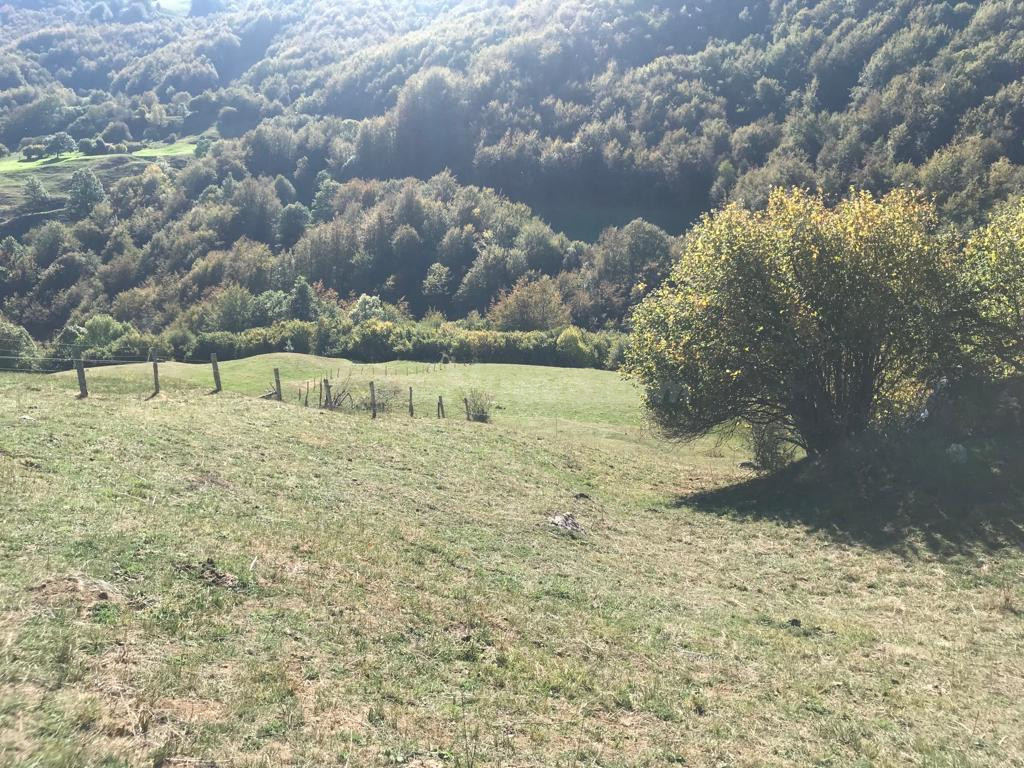 Terreno en Dobres- Ranes, Vega de Liébana. - foto 3
