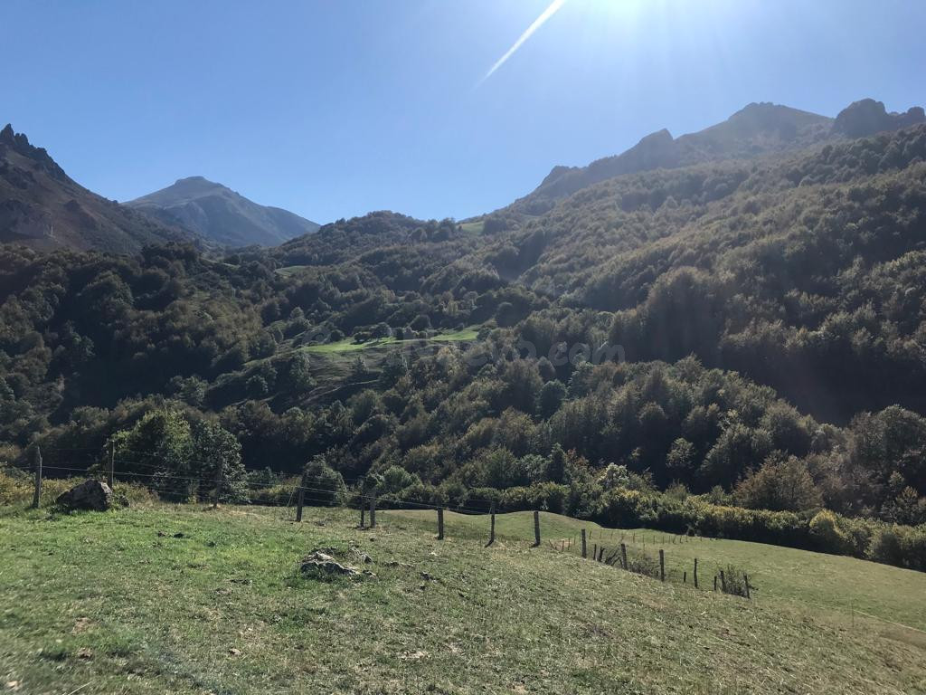 Terreno en Dobres- Ranes, Vega de Liébana. - foto 4