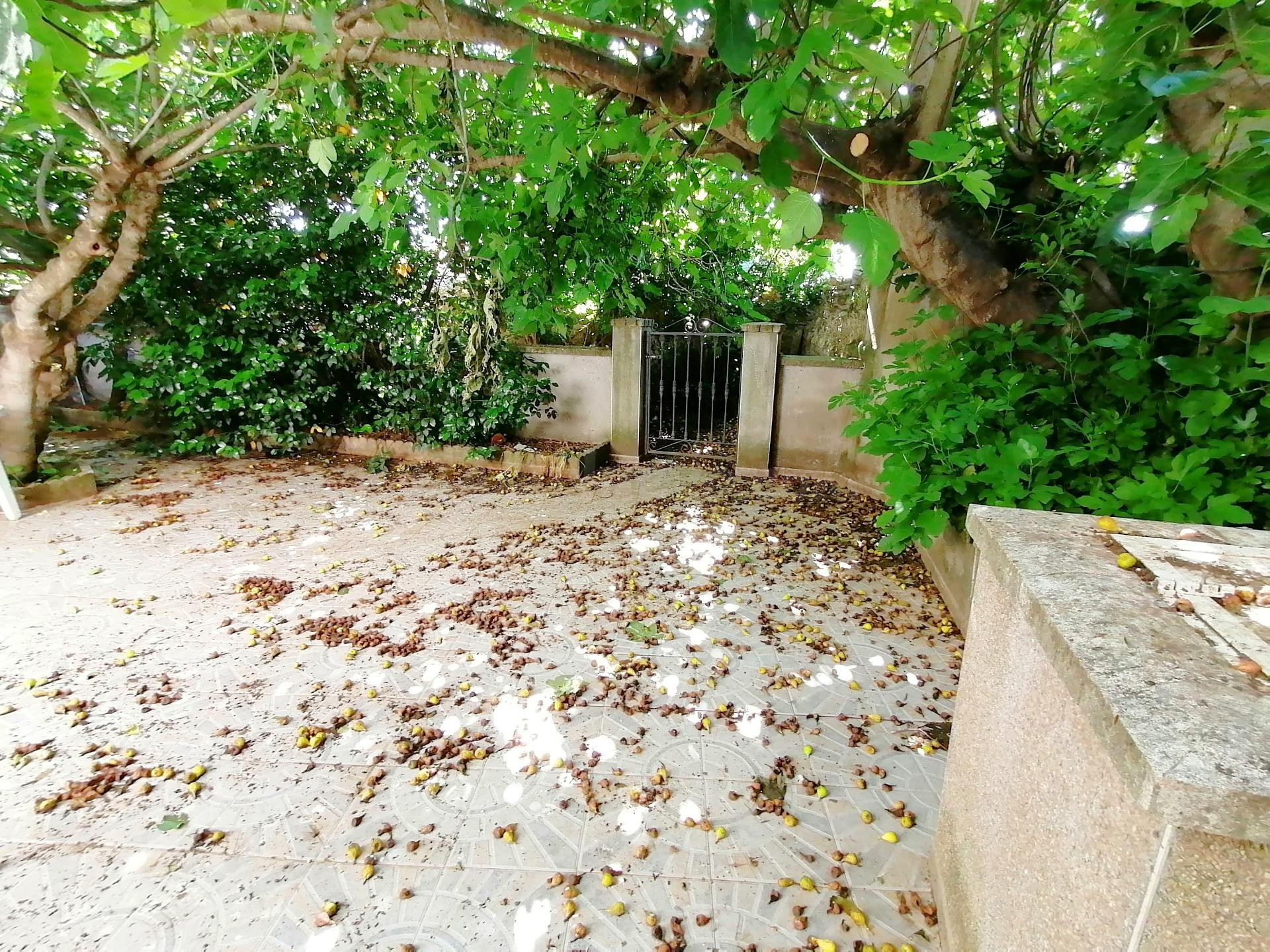 Amplia Casa  con Gran Patio en Hinojal Ideal para Reformar - - foto 4