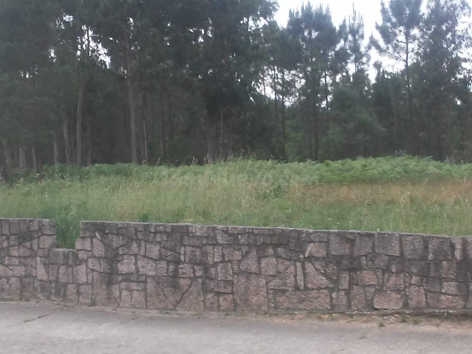 Vendo Terreno para Huerto, Finca de Recreo cerca de Tomiño - foto 2