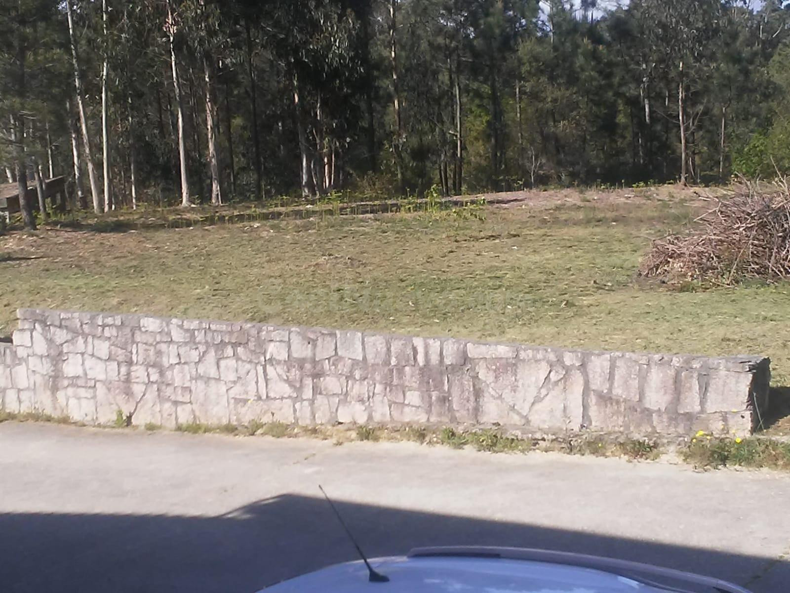 Vendo Terreno para Huerto, Finca de Recreo cerca de Tomiño - foto 4