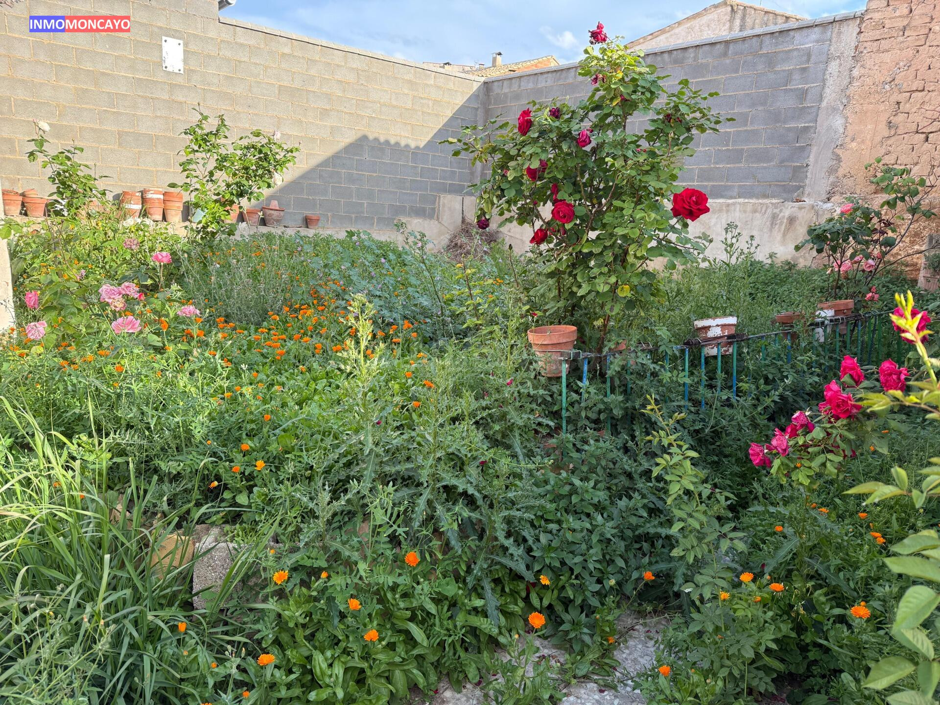 SE VENDE ESTUPENDO PISO EN NOVALLAS (ZARAGOZA) - foto 4