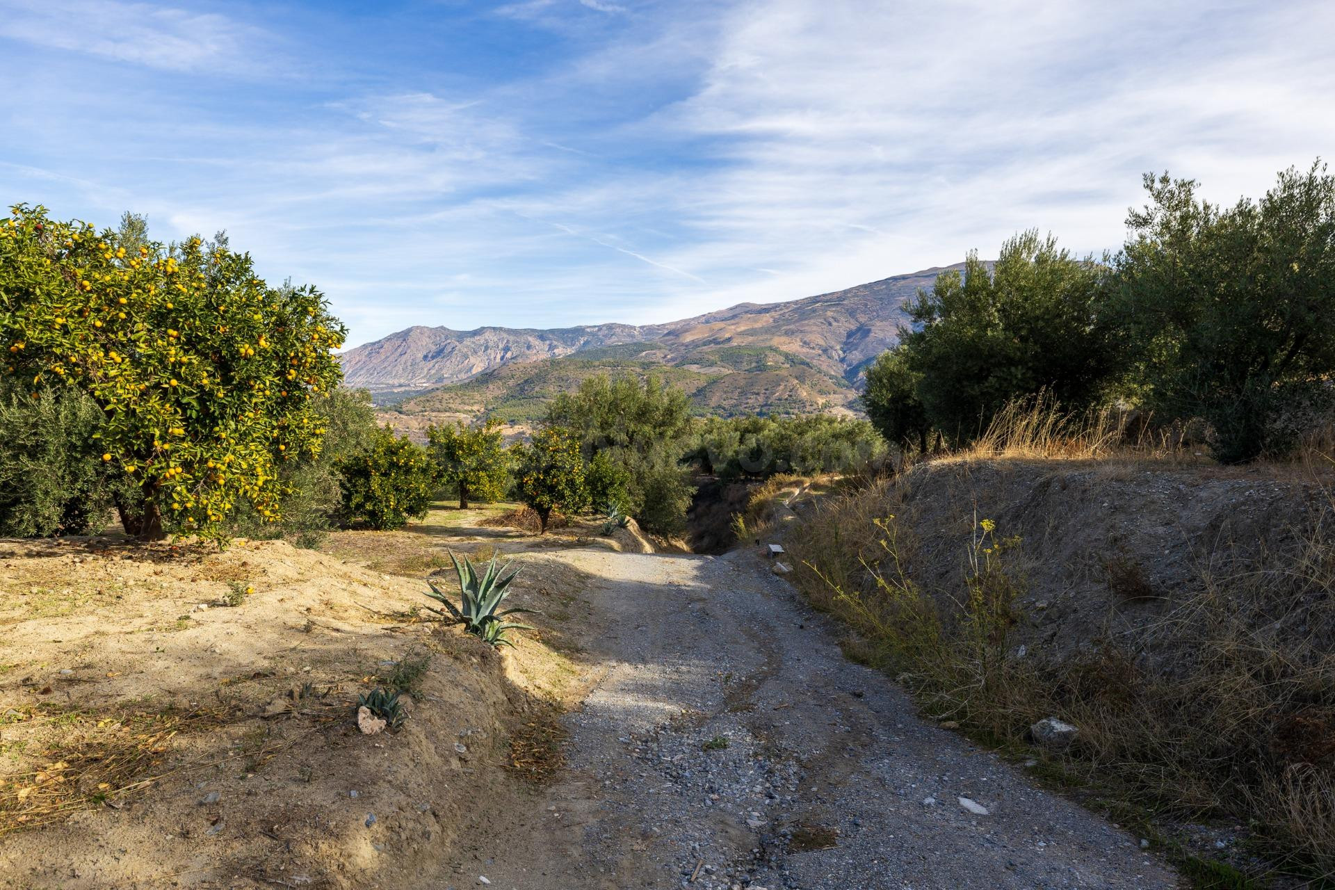 ¡Oportunidad única! Dos Fincas rústicas de mas de 15.000 m2 en total en Pinos del Valle. VENTA JUNTAS O SEPARADAS