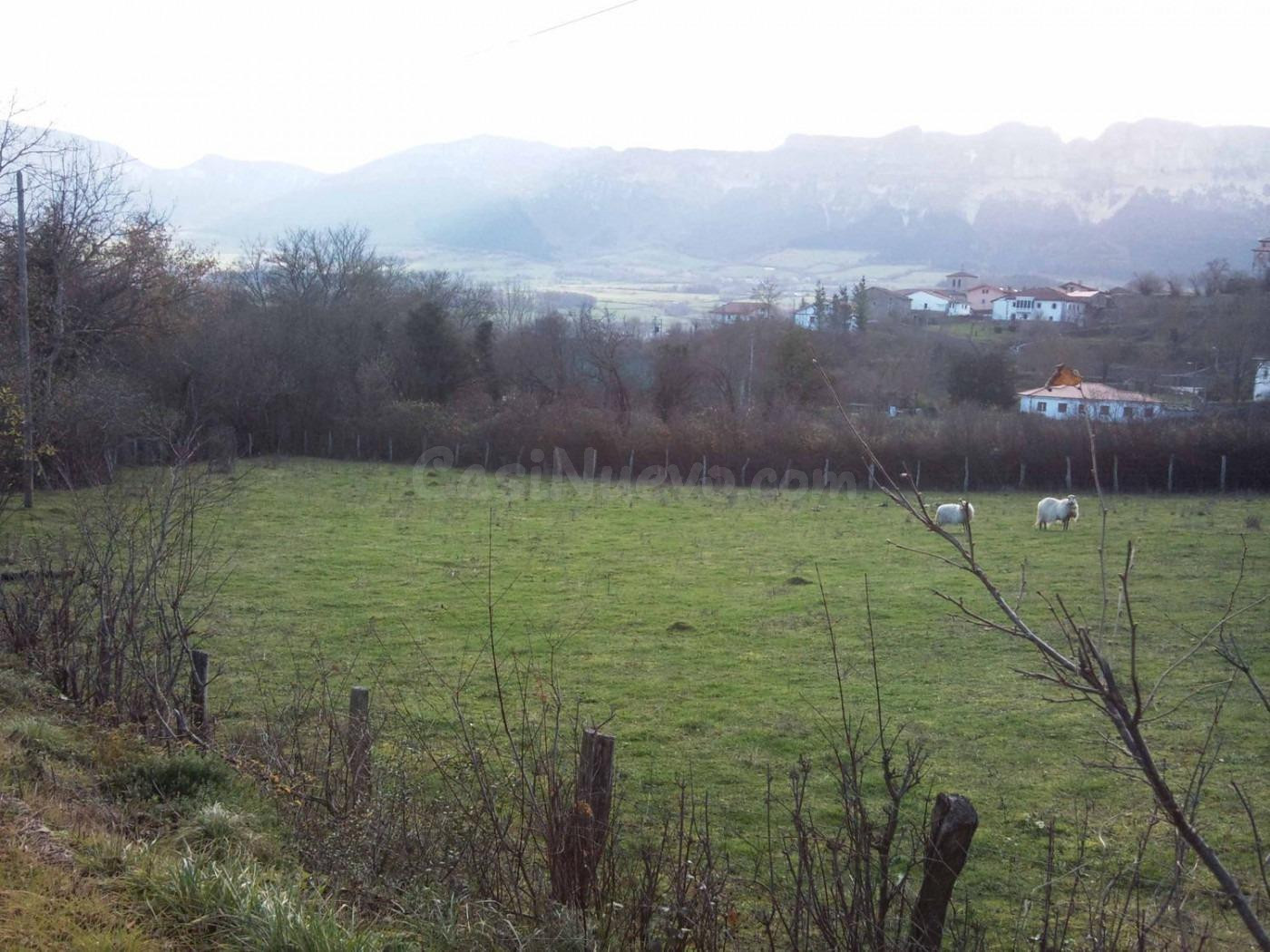 PARCELAS URBANAS EN VENTA EN VILLANUEVA DESDE 50.000€ - foto 2