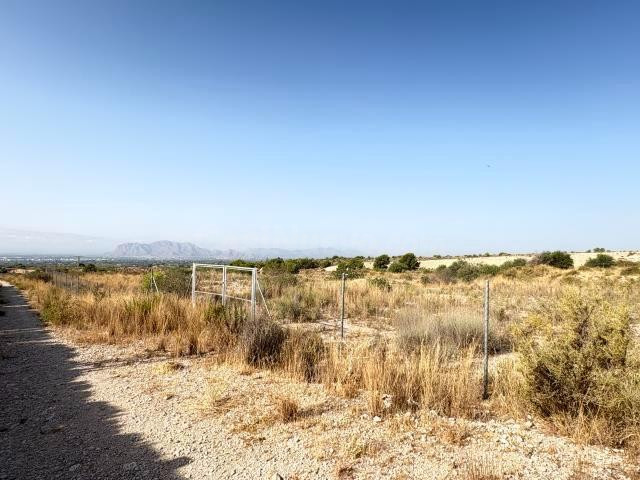 Terreno rural en venta - Partida del moco - foto 2