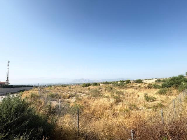 Terreno rural en venta - Partida del moco - foto 3