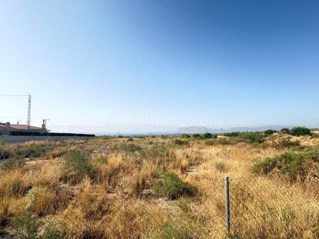 Terreno rural en venta - Partida del moco - foto 4