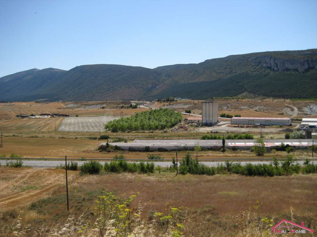 TERRENO INDUSTRIAL EN LUMBIER - foto 4