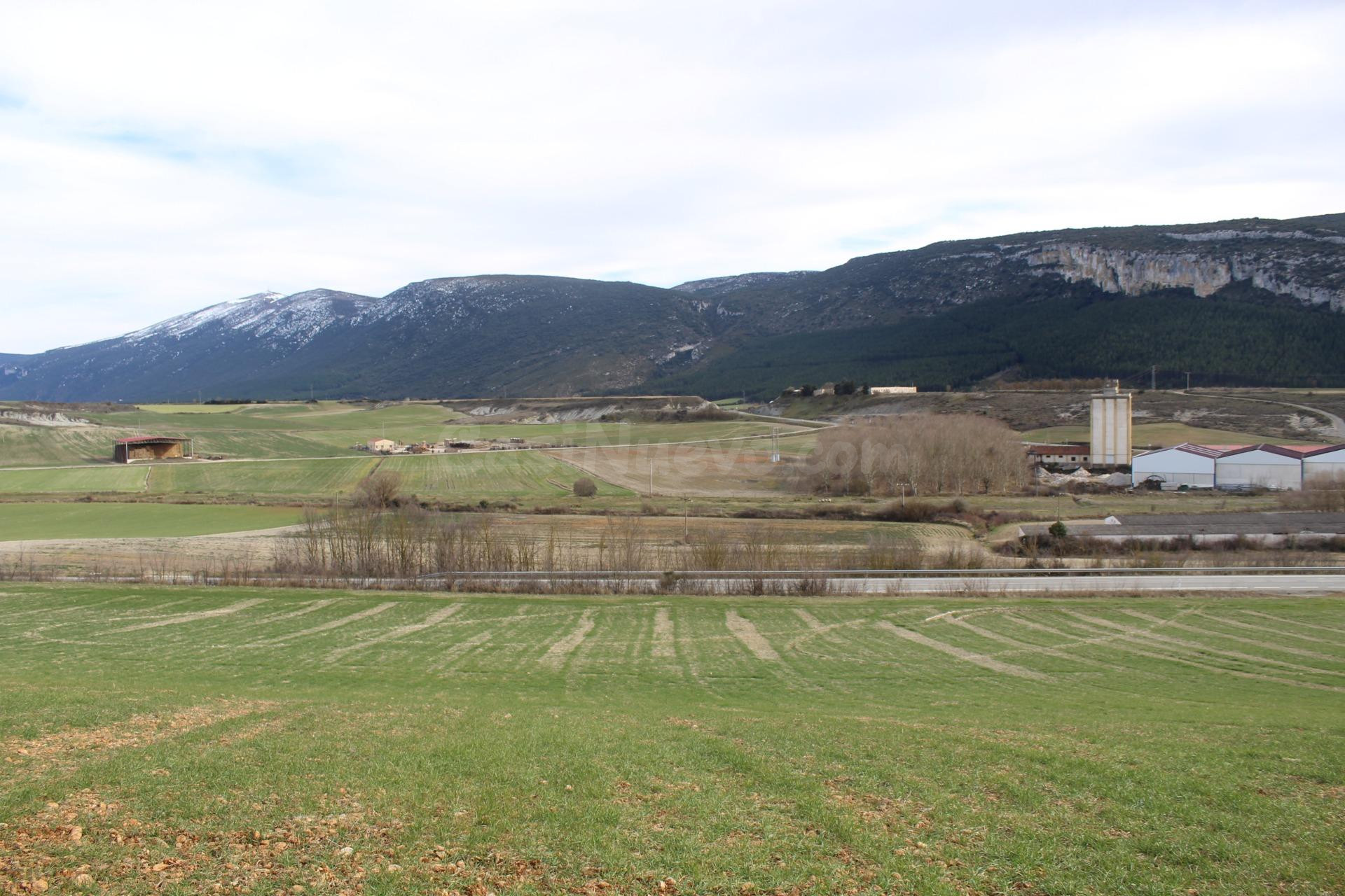 TERRENO INDUSTRIAL EN LUMBIER - foto 5