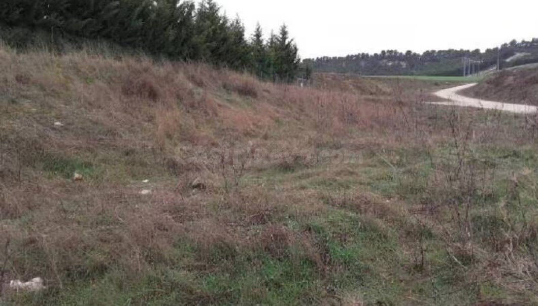 TERRENO CUESTA DE GALLO, POL. 1, PARCELA 5018, SIMANCAS. - foto 2