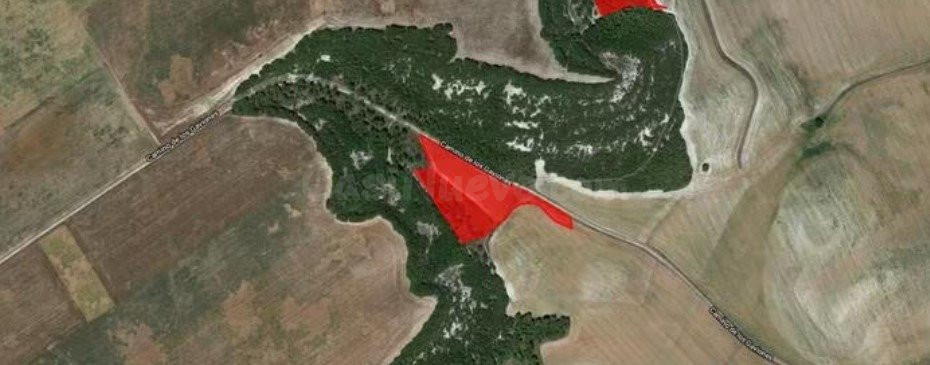 TERRENO EN PARAJE LOS BARREALES, POL. 6, PARCELA 5056, SIMAN - foto 5