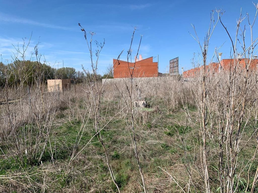 VENTA DE SOLAR DOTACIONAL EN CABEZON DE PISUERGA - foto 3