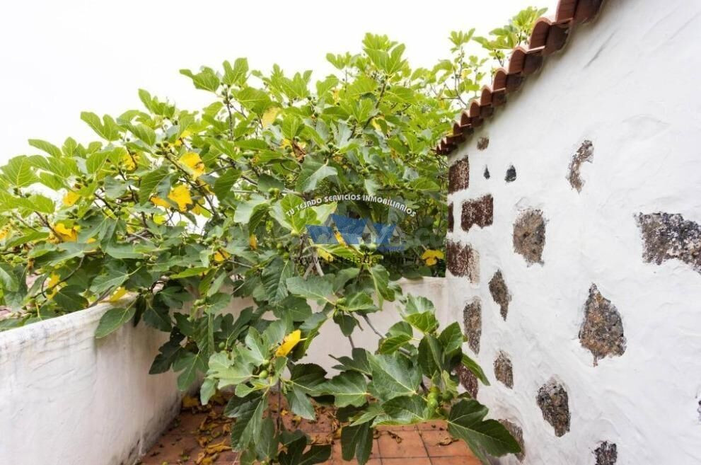 Casa típica canaria en venta - foto 2