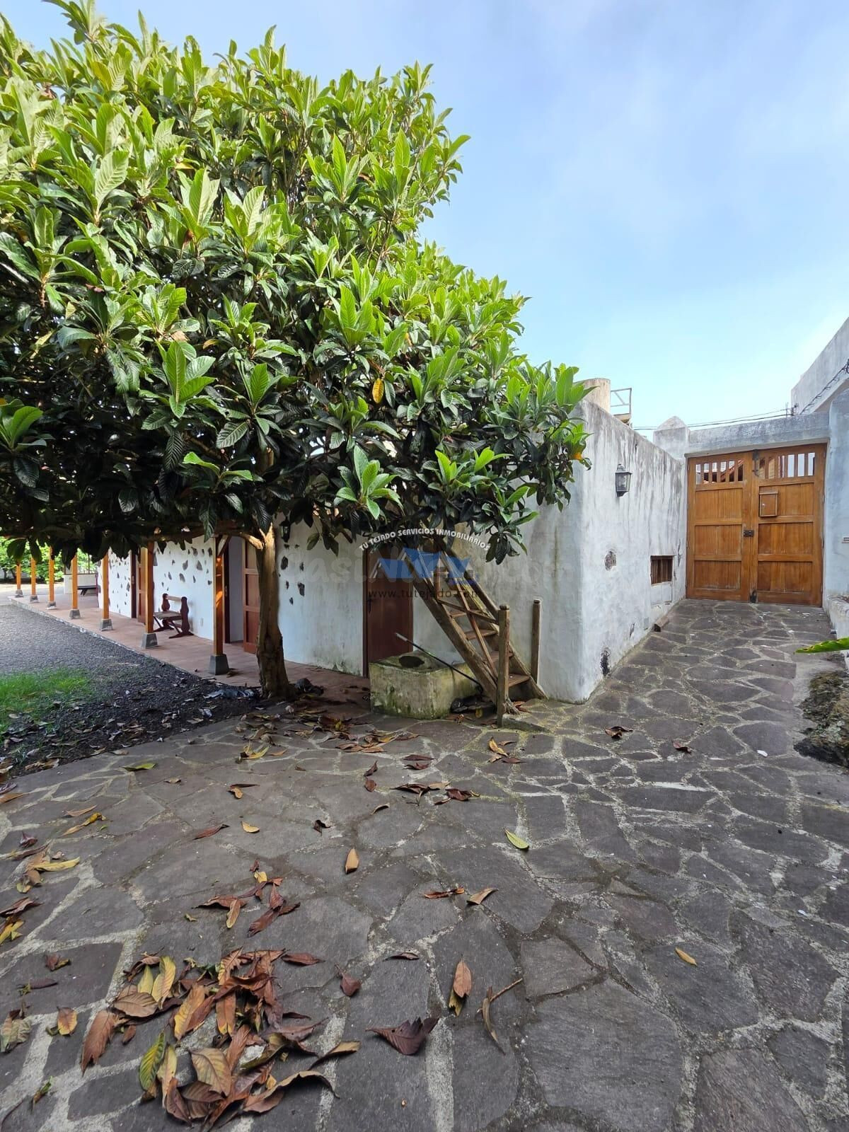 Casa típica canaria en venta - foto 4